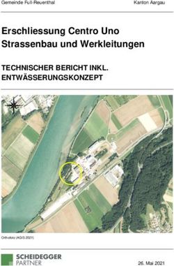 Erschliessung Centro Uno Strassenbau und Werkleitungen - TECHNISCHER BERICHT INKL. ENTWÄSSERUNGSKONZEPT