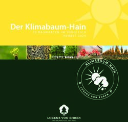 Der Klimabaum-Hain 70 BAUMARTEN IM VERGLEICH HERBST 2020 - Baumschule Lorenz von Ehren