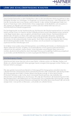 L&Auml;RM UND SCHALL&Uuml;BERTRAGUNG IN BAUTEN