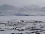 Grönland Jagdabenteuer auf der größten Insel der Erde! - Profijagdreisen Dr. Lechner