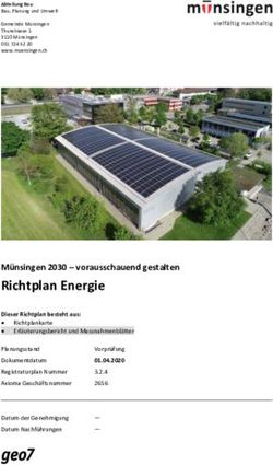 Richtplan Energie Münsingen 2030 - vorausschauend gestalten - Gemeinde Münsingen