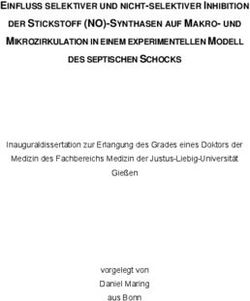 DER STICKSTOFF (NO)-SYNTHASEN AUF MAKRO- UND MIKROZIRKULATION IN EINEM EXPERIMENTELLEN MODELL
