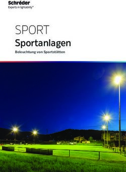 SPORT Sportanlagen Beleuchtung von Sportstätten