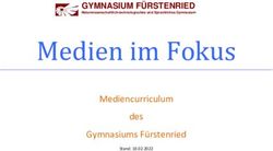 Medien im Fokus Mediencurriculum des Gymnasiums F&uuml;rstenried - GYMNASIUM F&Uuml;RSTENRIED