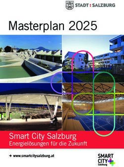 Masterplan 2025 - Smart City Salzburg Energielösungen für die Zukunft - Stadt Salzburg