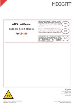 LCIE 09 ATEX 1042 X ATEX certificate: Vibro-meter Catalogue
