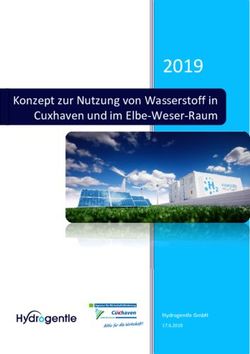 2019 Konzept zur Nutzung von Wasserstoff in Cuxhaven und im Elbe-Weser-Raum - Hydrogentle GmbH