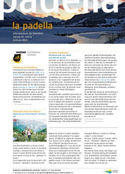 La padella Infurmaziuns da Samedan Januar Nr. 1/2019 Anneda XXIII - Gemeinde Samedan