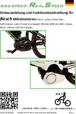 Bikespeed-RealSpeed Einbauanleitung und Funktionsbeschreibung f&uuml;r - Tunen mit bikespeed