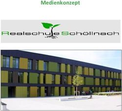 Medienkonzept - Realschule Schöllnach
