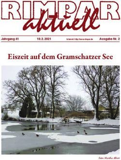 Eiszeit auf dem Gramschatzer See - Jahrgang 41 - Markt Rimpar