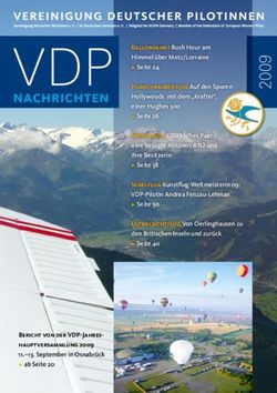 VDP nachrichten - Vereinigung Deutscher Pilotinnen