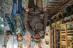 PRESSEGESPR&Auml;CH EINE VORSCHAU AUF DAS PROGRAMM DER VIENNALE 25. OKTOBER-8. NOVEMBER 2018