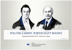 POLITIK LAHMT, WIRTSCHAFT BOOMT - Kapitalmarktausblick 2019 - Grafischer Anhang