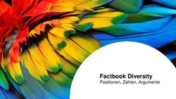 Factbook Diversity Positionen, Zahlen, Argumente - Charta der Vielfalt