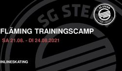 FL&Auml;MING TRAININGSCAMP - SA 21.08 - DI 24.08.2021 INLINESKATING - SG Stern