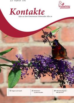 Kontakte Infos aus dem Gemeinwesen Schönwalder Allee 26 - 21 RÜCKBLICK