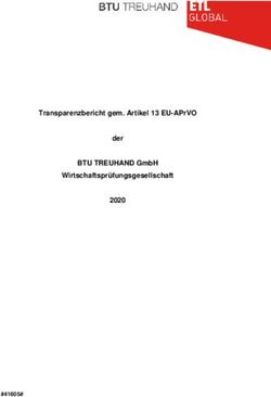 TRANSPARENZBERICHT GEM. ARTIKEL 13 EU-APRVO DER BTU TREUHAND GMBH WIRTSCHAFTSPR&Uuml;FUNGSGESELLSCHAFT 2020 - #41605#