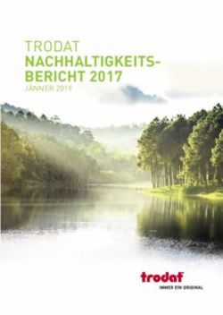 TRODAT NACHHALTIGKEITS-BERICHT 2017 - JÄNNER 2019 - TroGroup