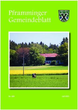 Pframminger Gemeindeblatt - Nr. 100 Juli 2021 - Gemeinde Oberpframmern