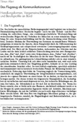 Das Flugzeug als Kommunikationsraum Handlungsformen, Vergemeinschaftungstypen und Berufsprofile an Bord1