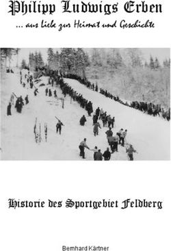 Philipp Ludwigs Erben - aus Liebe zur Heimat und Geschichte - Historie des Sportgebiet Feldberg