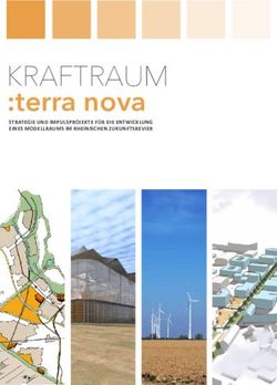Terra nova KRAFTRAUM - STRATEGIE UND IMPULSPROJEKTE FÜR DIE ENTWICKLUNG EINES MODELLRAUMS IM RHEINISCHEN ZUKUNFTSREVIER - Kreisstadt Bergheim