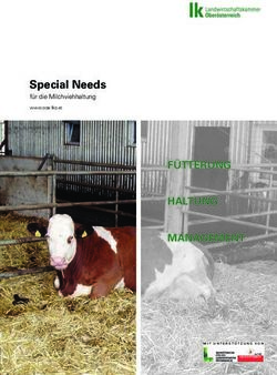 Special Needs f&uuml;r die Milchviehhaltung - F&Uuml;TTERUNG HALTUNG MANAGEMENT - Landwirtschaftskammer