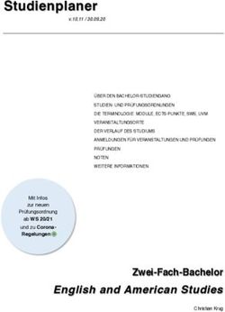 Studienplaner - English and American Studies