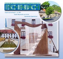 Stadt Eschenbach i. d. OPf. Stadt Neustadt am Kulm