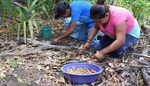 WaldGewinn Starke Partner für wertvolle Wälder - Regenwald-schuetzen.org