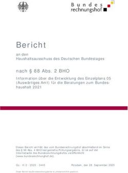 Bericht - Bundesrechnungshof