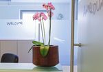Primary and Hospital Care