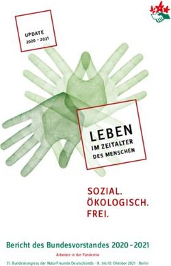 SOZIAL. &Ouml;KOLOGISCH. FREI - Bericht des Bundesvorstandes 2020 2021 - NaturFreunde ...
