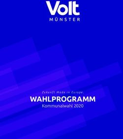 WAHLPROGRAMM Kommunalwahl 2020 - Zukunft Made in Europe - Volt Europa