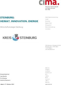 STEINBURG: HEIMAT. INNOVATION. ENERGIE - Wirtschaftsstrategie Steinburg - Kreis Steinburg