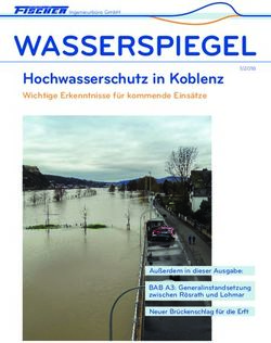 WASSERSPIEGEL Hochwasserschutz in Koblenz Wichtige Erkenntnisse f&uuml;r kommende Eins&auml;tze - Fischer Teamplan