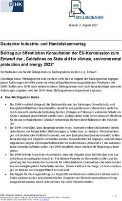 Deutscher Industrie- und Handelskammertag Beitrag zur &ouml;ffentlichen Konsultation der EU-Kommission zum Entwurf der "Guidelines on State aid for ...