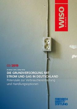 DIE GRUNDVERSORGUNG MIT STROM UND GAS IN DEUTSCHLAND - Potenziale zur Verbraucherentlastung und Handlungsoptionen 03/2019
