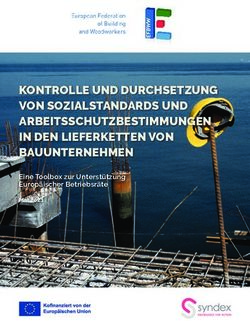 KONTROLLE UND DURCHSETZUNG VON SOZIALSTANDARDS UND ARBEITSSCHUTZBESTIMMUNGEN IN DEN LIEFERKETTEN VON BAUUNTERNEHMEN - Eine Toolbox zur ...