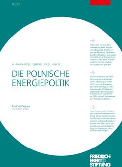 DIE POLNISCHE ENERGIEPOLTIK - Bibliothek der Friedrich-Ebert ...