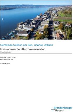 Gemeinde Uetikon am See, Chance Uetikon Investorensuche - Kurzdokumentation - Phase Publikation Gemeinde Uetikon am See 8707 Uetikon am See 2 ...