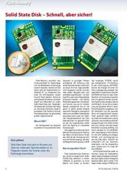 Solid State Disk - Schnell, aber sicher! - Flash Memory - beam-Verlag
