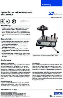 Hydraulisches Kolbenmanometer Typ CPB5800