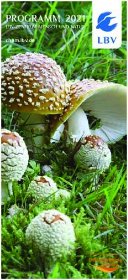 PROGRAMM 2021 LBV-ZENTRUM MENSCH UND NATUR - cham.lbv.de - LBV Cham