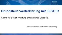 Hier: 2 Flurst&uuml;cke - Einfamilienhaus mit Weg