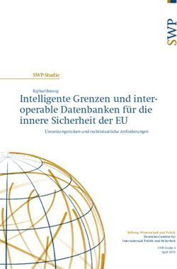 Intelligente Grenzen und inter-operable Datenbanken für die innere Sicherheit der EU