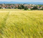 JAHRESPROGRAMM - CVJM-Zentrum Walddorf