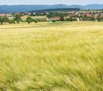 JAHRESPROGRAMM - CVJM-Zentrum Walddorf