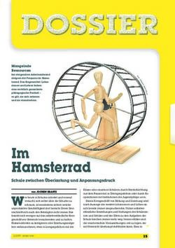 Hamsterrad Schule zwischen &Uuml;berlastung und Anpassungsdruck - Cusanus Hochschule